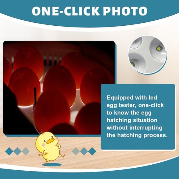 9 egg inkubator, kyllingegg inkubator med automatisk eggvending og temperaturkontroll, og automatisk vanndispenser.