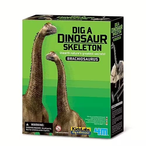Kidz Labs Brachiosaurus Skelet - Calico