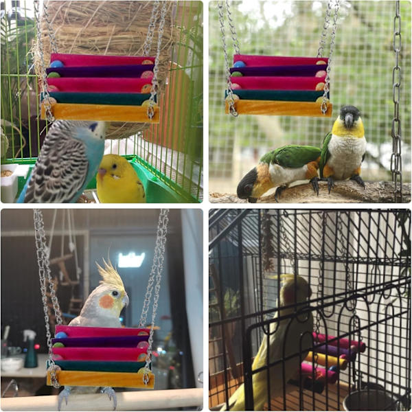 Papukaija, undulaatti, budgie, kakadu häkkikeinu lelu
