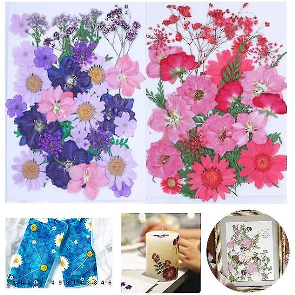 61-pack Real Mix Variety Dry Embossed, Natural Dried Embossed Dried Flower Charm