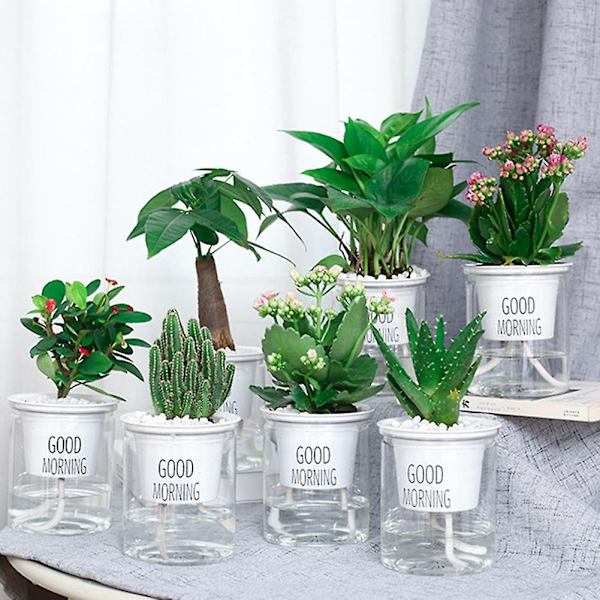 2 sarjaa kaksikerroksinen vesiviljely Epipremnum Aureum itsekasteluruukku Koti sisustus