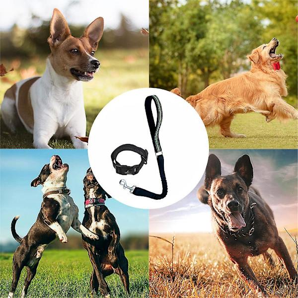 Hundesnor og halsbåndssæt, nylonhalsbånd og snor til hund Klassisk ensfarvet