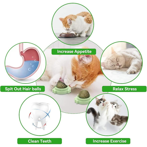 2 stk Kattemynteballer leketøy for katt, vegg kattemynterulle for katteslikking, tannrengjøring Dental spiselig kattungeleke