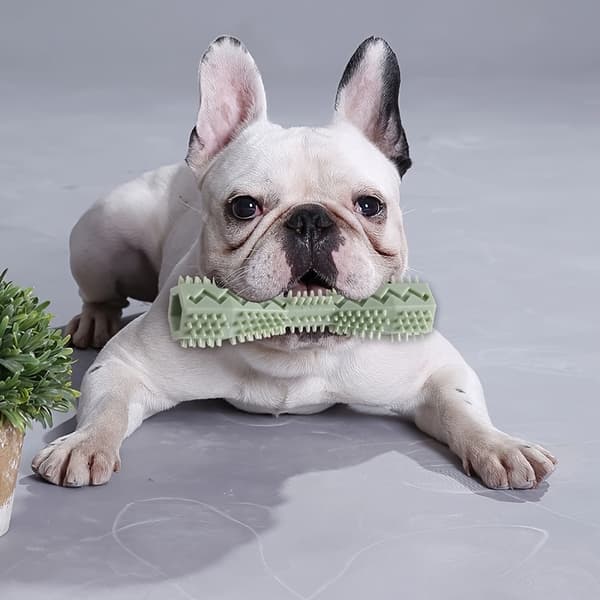 Bidelegetøj til hund: Blød gummibidepind | Kombinerer interaktiv leg og bidefunktion