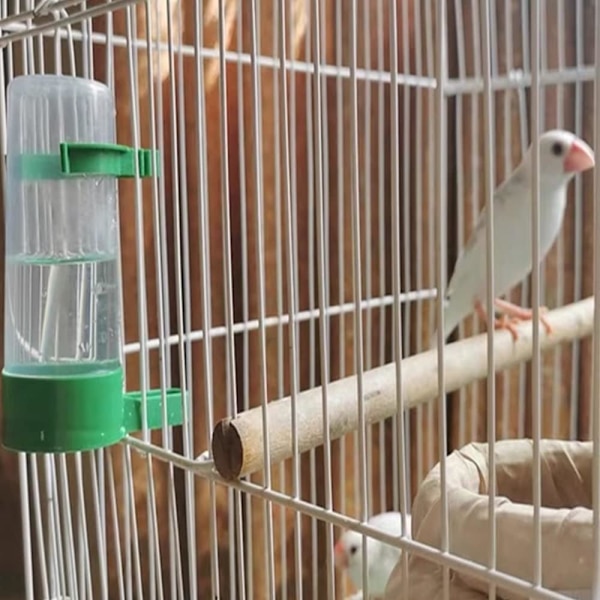 4 kpl Lintujen Ruokaa Ja Vettä Jakava Pullo Lintujuoma Lintu Häkki Pullo Lemmikkieläinten Vedenjakaja Papukaijalle Rakastajalinnulle Häkin Tarvikkeet white