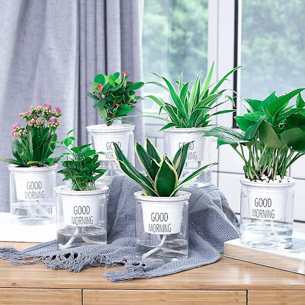 2 sarjaa kaksikerroksinen vesiviljely Epipremnum Aureum itsekasteluruukku Koti sisustus