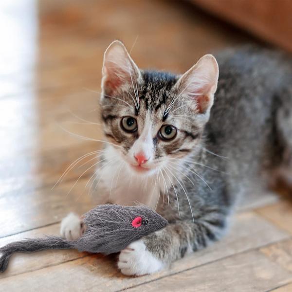 2-pack Dörrhängande Katt Leksak, Interaktiv Katt Leksak Möss, Katt Leksak Jaga Träning Underhållning Leksak Hängande Dörr Katt Leksak Mus Retande Leksaker för inomhus C