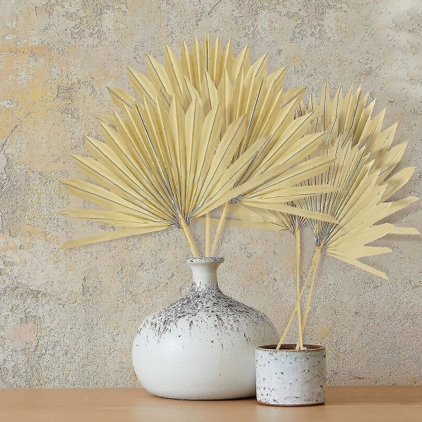 Boho Blooms Tørrede Blade | 2 Stk. Tørrede Vifter | Boho R | Neutral Home R | Bryllup R | Blade + Blomst