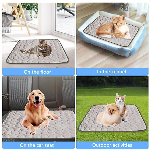 Isilke-dyna för hund Kyl-soffa Husdjursdyna för husdjur Isdyna för kall sömn xs