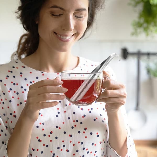 2 stk. teinfusere i rustfritt stål, te-rør med hengekrokhåndtak, te-intervall diffuser med fine hull for løs te, kaffe, urter, krydder