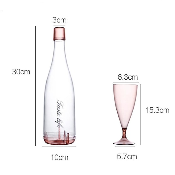 Champagneglassæt, bærbart og genanvendeligt stamvare med opbevaring