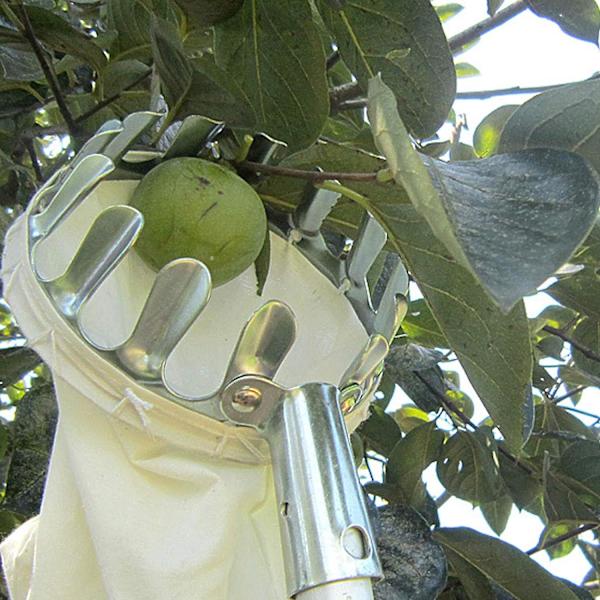 Fruktplockare med 16 cm diameter, fruktplockare Trädgårdsplockverktyg Metallfruktplockare med uppsamlingsväska för skörd av äpplen, citrusfrukter, päron, pe