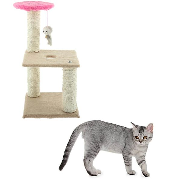 Kattträd Condo Möbler Kitten Aktivitetstorn Husdjur Kitty Lekhus Leksaker
