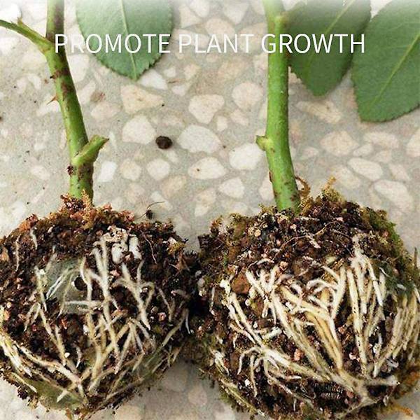 12 st Plant Högtryckslåda Trädgård Tillväxt Avel Ymp Hög Förökning Boll Växt Rotade Enhet För Trädgård Tillväxt Avel Ymp(diameter 5