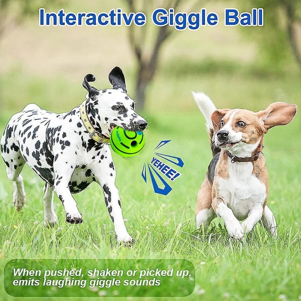 Pet Dog Toyfuny Pet Ball Play Touch Wag Träningsmaterial