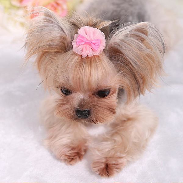 3 stk. Hundehårklips Kattehår Kæledyrs Hår Barrettes Hårnåle Håndlavet  mix style1
