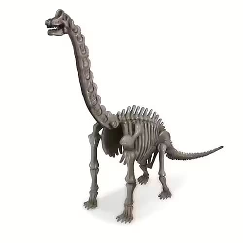 Kidz Labs Brachiosaurus Skelet - Calico