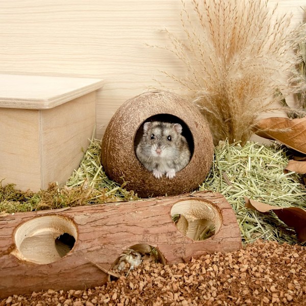 Kokosnød Hytte Hamster Hus Seng til Gerbils Mus Lille Dyr Bur Habitat Dekoration Brown