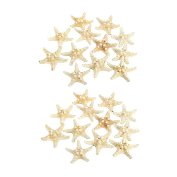 24 X Hvid Knobby Søstjerne 5cm -7cm Sea Star Shell Strand Bryllup Display Craft Decor