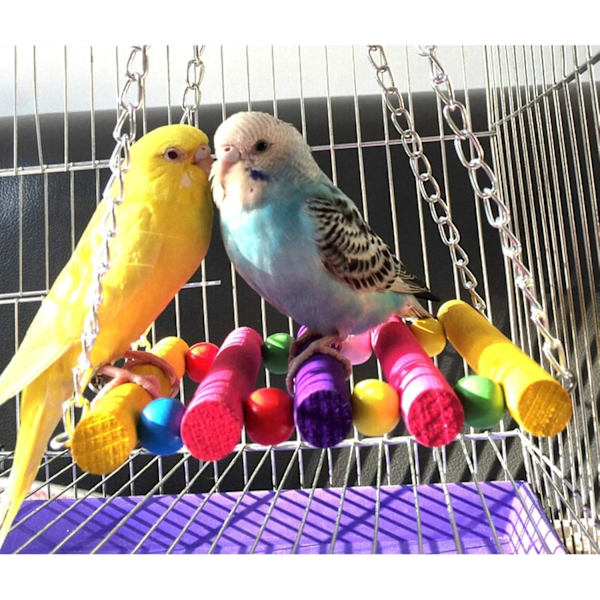 Papukaija, undulaatti, budgie, kakadu häkkikeinu lelu