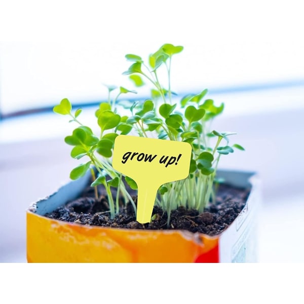 100 stk. plantetiketter i plast og etiketter planter med farverige havemarkører urter 6x10cm (multifarvet)