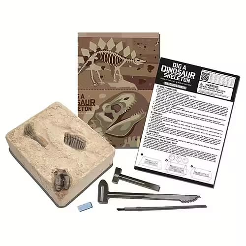 Kidz Labs Brachiosaurus Skelet - Calico