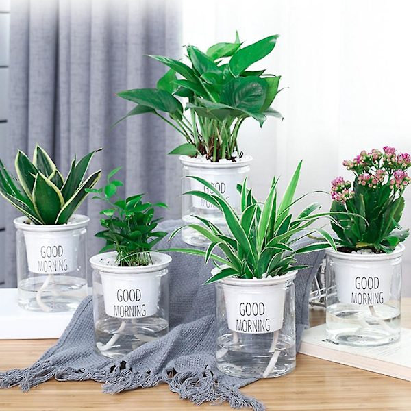 2 sarjaa kaksikerroksinen vesiviljely Epipremnum Aureum itsekasteluruukku Koti sisustus