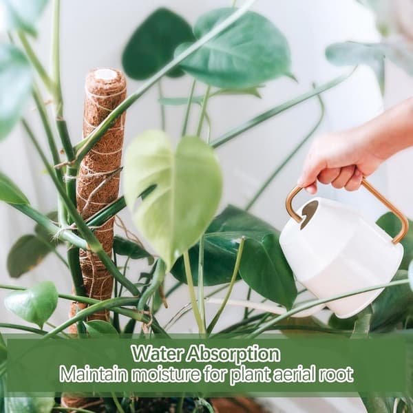 Växtmossstöd, förlängningsbart till 80 cm, för Monstera, Pothos, 2 delar, 50 cm