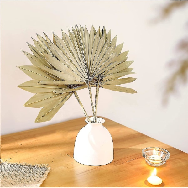 Boho Blooms Tørrede Blade | 2 Stk. Tørrede Vifter | Boho R | Neutral Home R | Bryllup R | Blade + Blomst