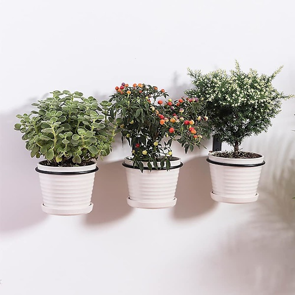 3 Kukanruukun Hyllyä - Riippuva Rautakehys - Musta - Koko: 15.2cm