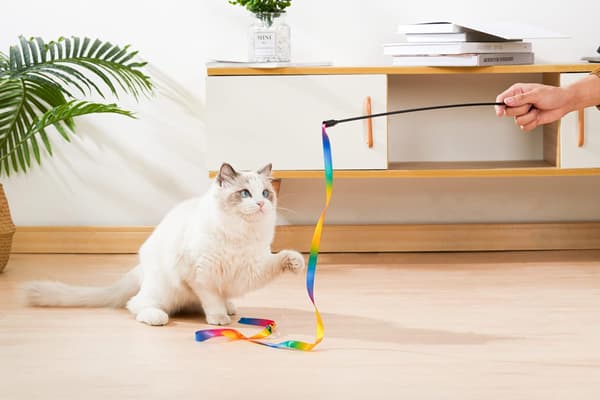 Interaktive katteleker for innekatter, regnbueviftende kattestokk