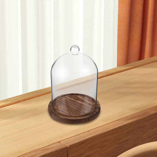 Glas Cloche Display Dome för Eviga Blommor och Konserverade Blommor