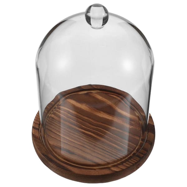 Glas Cloche Display Dome för Eviga Blommor och Konserverade Blommor
