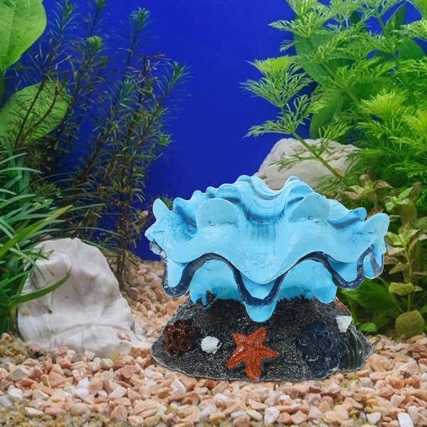 Akvarium Luftsten Tropisk Musseldekor för Akvarium