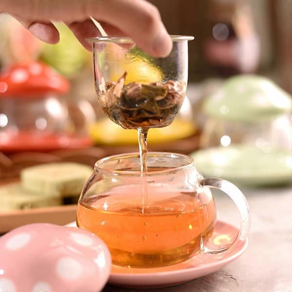 Tekopp i glas med infuser och svamplock, diskmaskinssäker för resor, kontor, hem