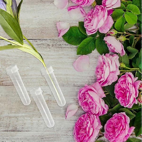Vattenrör i plast för blommor, transparenta blomrör för blomsterarrangemang - 20-pack