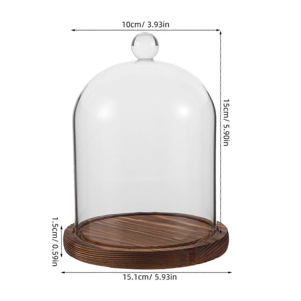 Glas Cloche Display Dome för Eviga Blommor och Konserverade Blommor