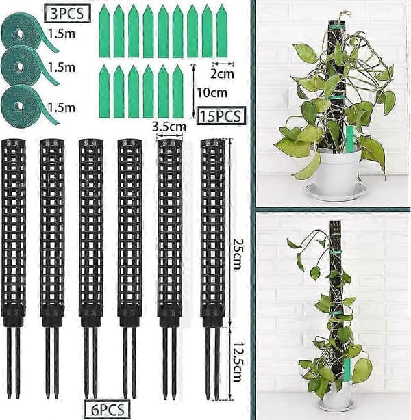 6-pack mosssticka för Monstera - Inomhusväxter Kokosmosspåle SZRH A-J