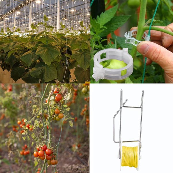 Infällbar tomatspaljé, grönt rep 15m, rullhjul, 6-pack för trädgårdsväxtstöd