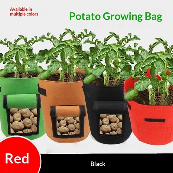 Filt Non-woven Växtodlingspåse Grönsaksodlingskruka för Potatis Tomatplantering grey-25L