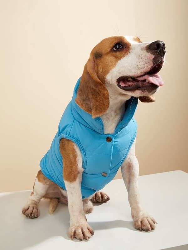Hundevest i bomull, varm ensfarget knappevest for små og mellomstore hunder