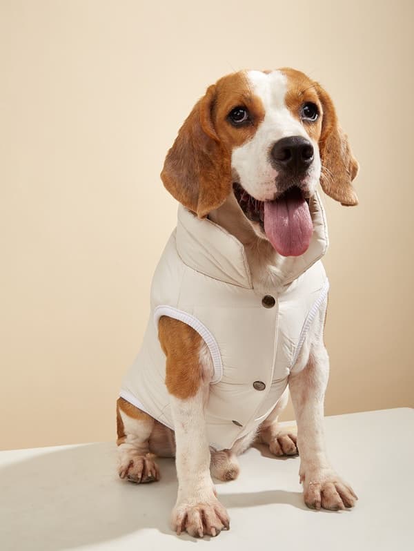 Hundevest i bomull, varm ensfarget knappevest for små og mellomstore hunder