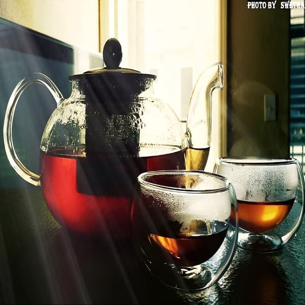 Glastekande med infuser i rustfrit stål, borosilikat, sikker til komfur, blomstrende og løs te, 800 ml