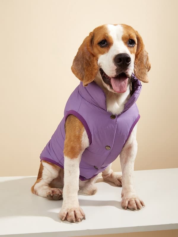 Hundevest i bomull, varm ensfarget knappevest for små og mellomstore hunder