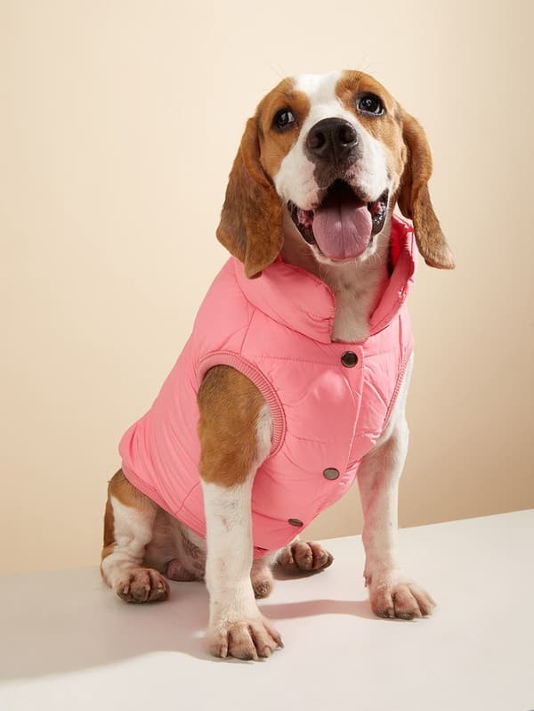Hundevest i bomull, varm ensfarget knappevest for små og mellomstore hunder