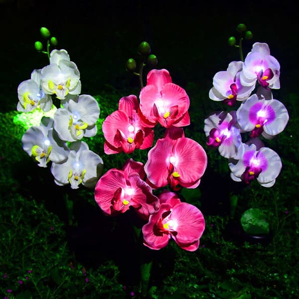 Solar Phalaenopsis Hagelys, Lysende Innstikkslys, Utendørs Landskap Dekorative