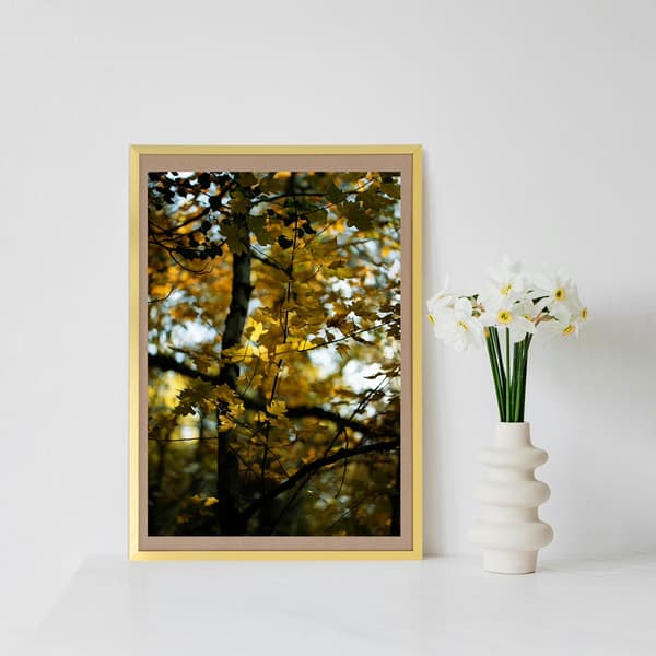 Väggmonterad tavelram, guld i aluminiumlegering, 42,5 x 30,2 cm, 1-pack, kontorsinredning