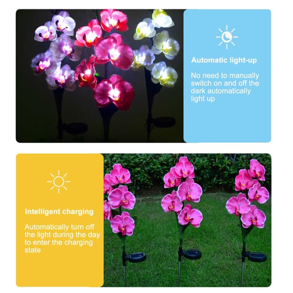 Solar Phalaenopsis Hagelys, Lysende Innstikkslys, Utendørs Landskap Dekorative