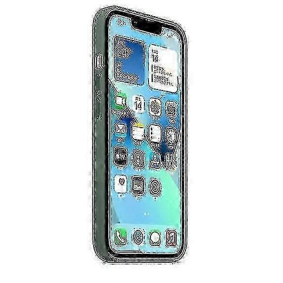 Silikoneetui med Magsafe til iPhone 13 telefonetui Eucalyptus