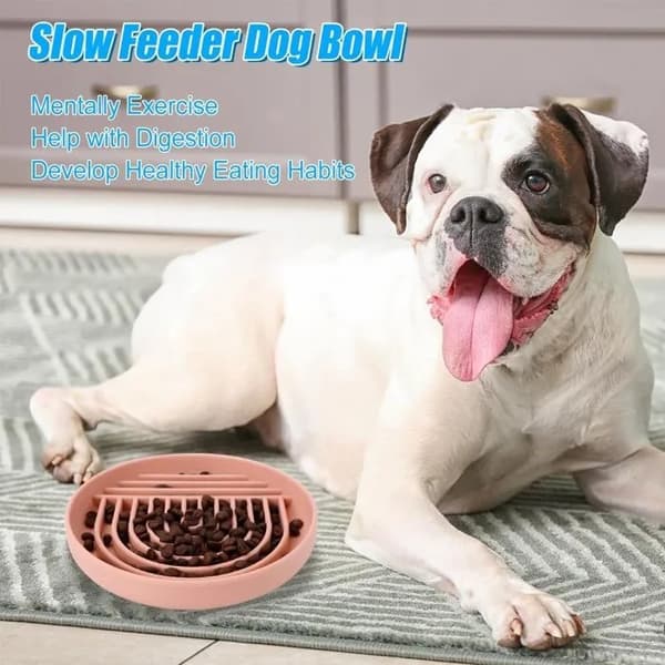 Fôrautomat for hund, 17,5 cm, lekkasjesikker silikonmatte, sugekopp